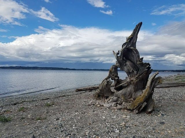 Birch Bay